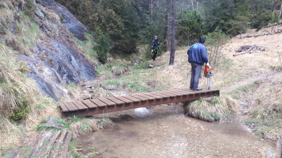 Algunes de les neteges de boscos i neteja de lleres de rius al Principat d'Andorra.