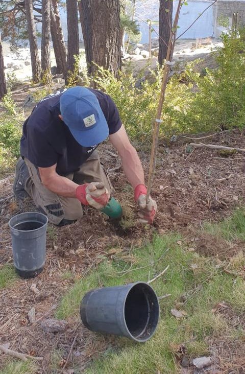 Escaldes-Engordany inicia la plantada de 500 arbres al bosc de la Plana. L'acció s'inscriu en el Dia mundial de la Natura que se celebra aquest 3 de març